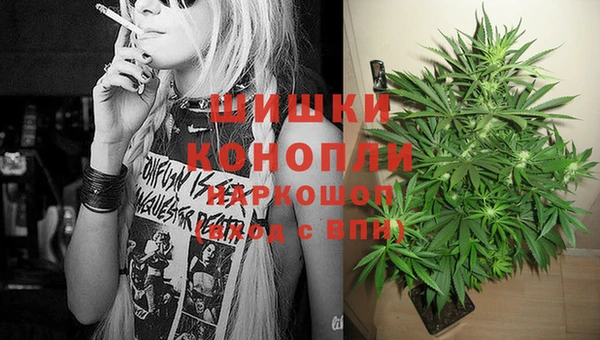 ГАЛЛЮЦИНОГЕННЫЕ ГРИБЫ Абдулино