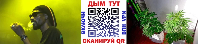Шишки марихуана OG Kush  наркотики  Костомукша 